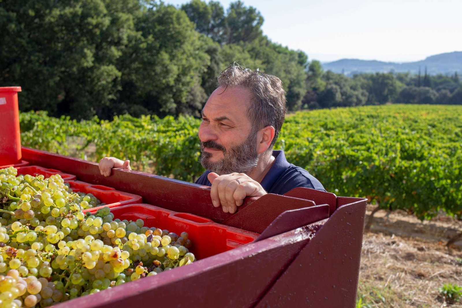 Domaine des Maravilhas, Saint Laurent Des Arbres, France
