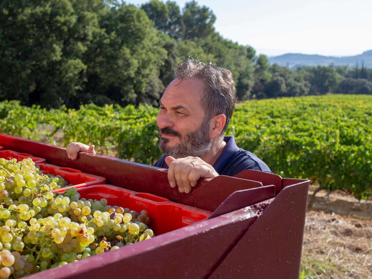 Domaine des Maravilhas, Saint Laurent Des Arbres, France