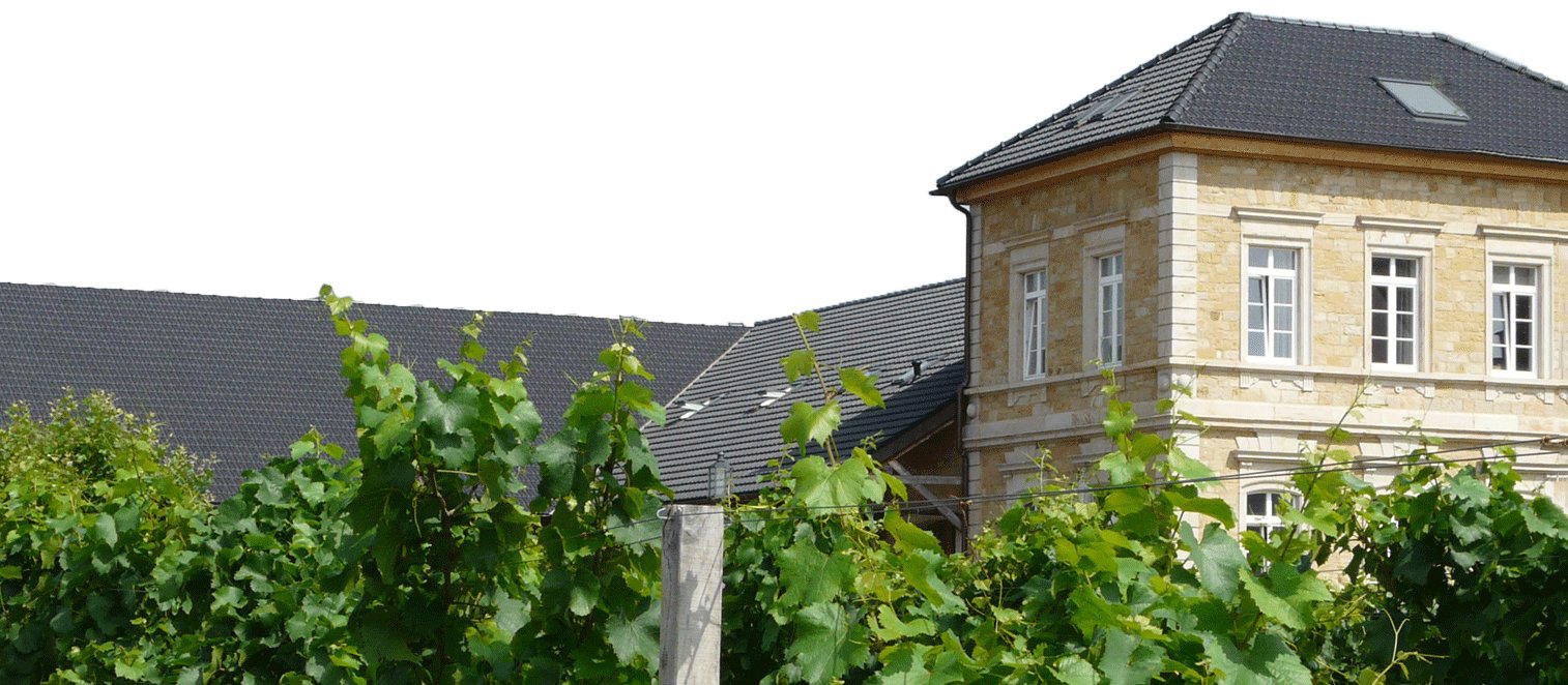 Weingut Josef Biffar winery in Deidesheim