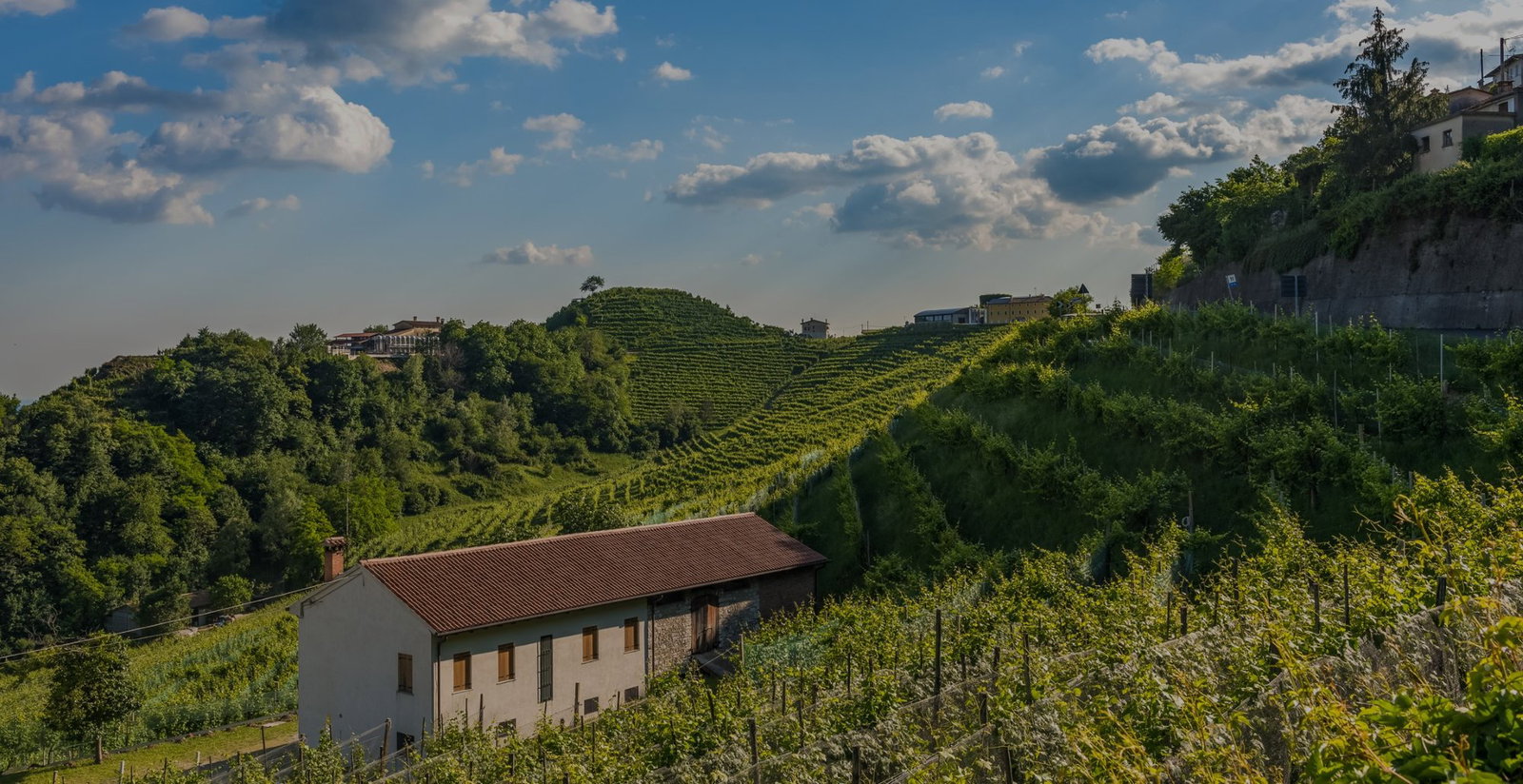 Cantina Pietrovecchio, Valdobbiadene, Italy
