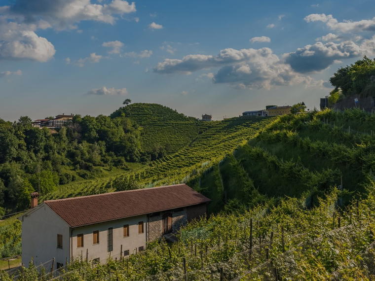 Cantina Pietrovecchio, Valdobbiadene, Italy