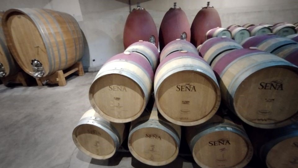 Viña Seña