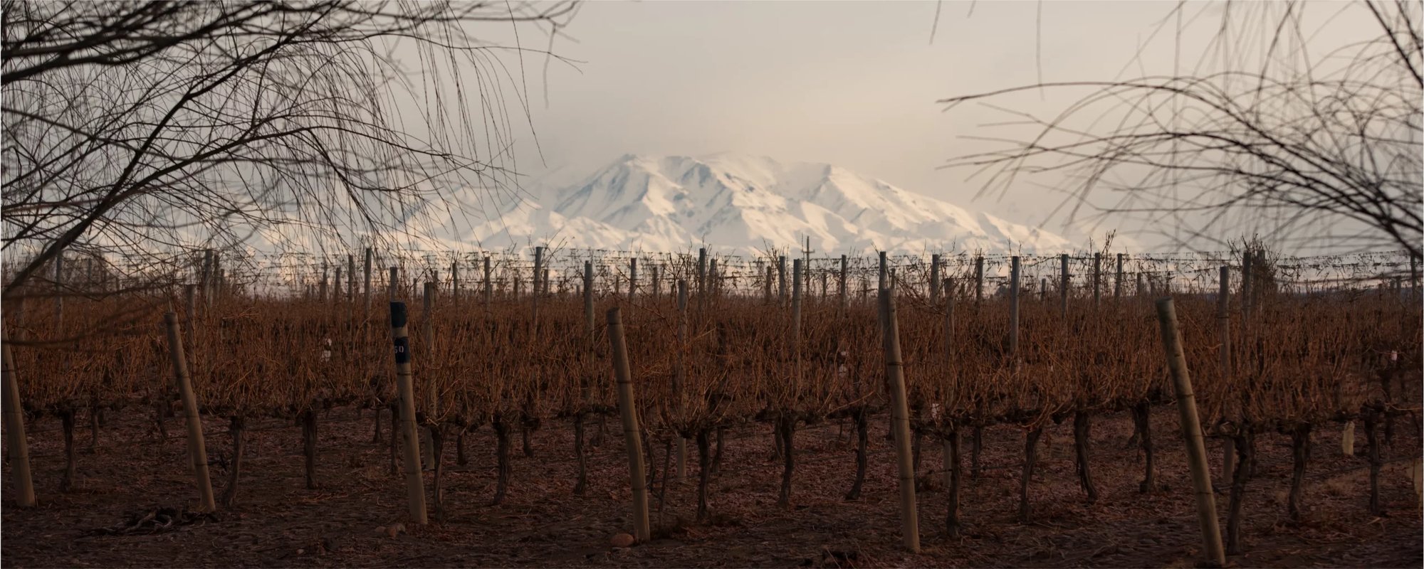 Antigal Winery & Estates, Maipú, Argentina