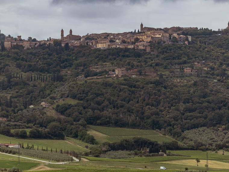 Celestino Pecci, Montalcino, Italy
