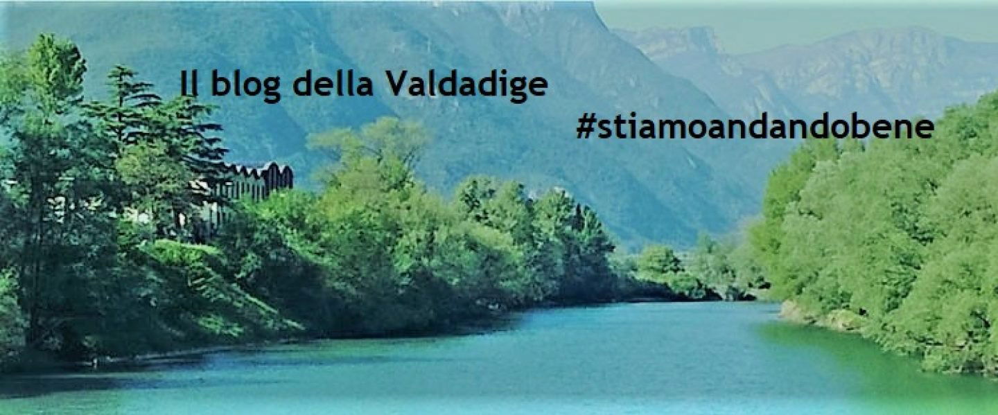 Cantina Valdadige, Winery in Brentino Belluno