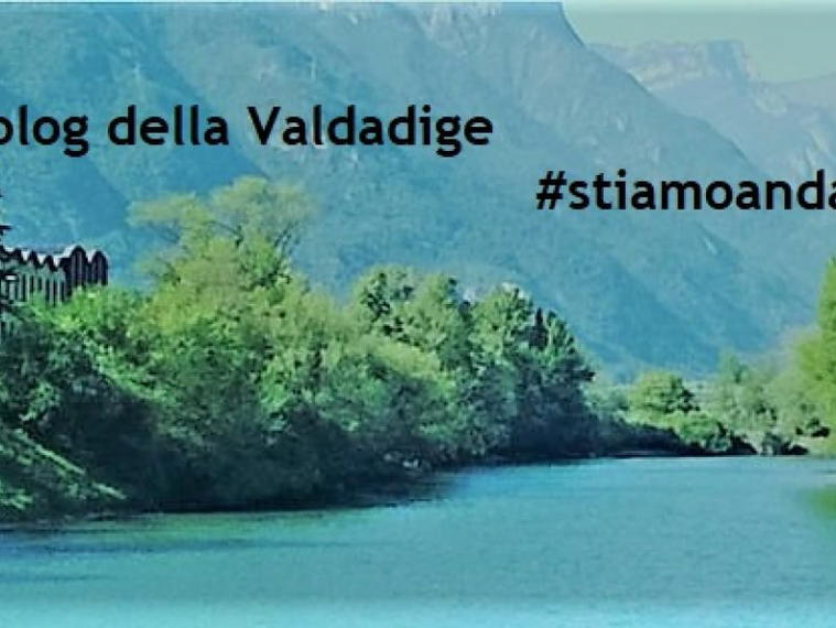 Cantina Valdadige, Brentino Belluno, Italy