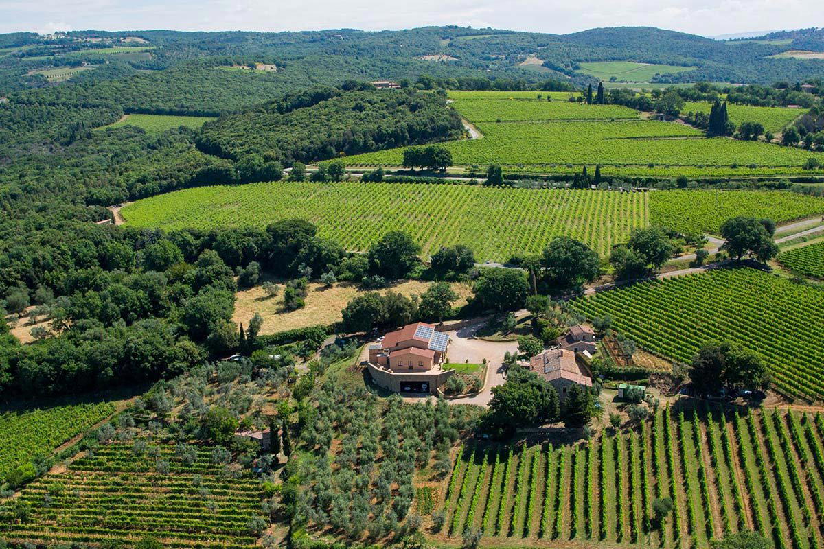 Azienda Agricola Cerbaia, Montalcino, Italy
