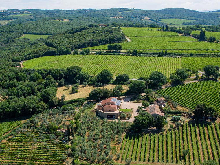 Azienda Agricola Cerbaia, Montalcino, Italy