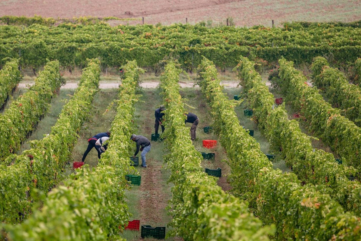 Fabrizio Dionisio, Winery in Cortona