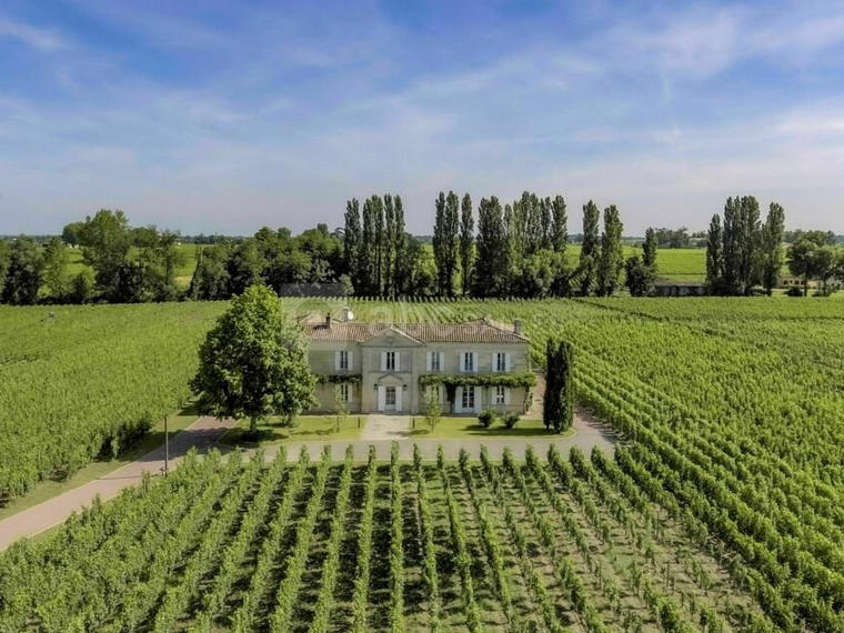 Château La Fleur de Boüard, Neac, France