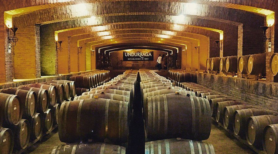Viña Undurraga, Winery in Talagante
