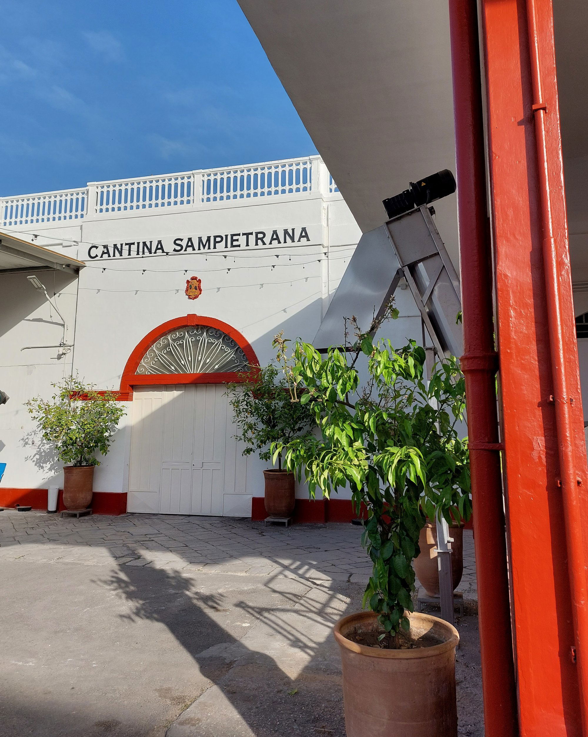 Cantina Sampietrana, Winery in San Pietro Vernotico