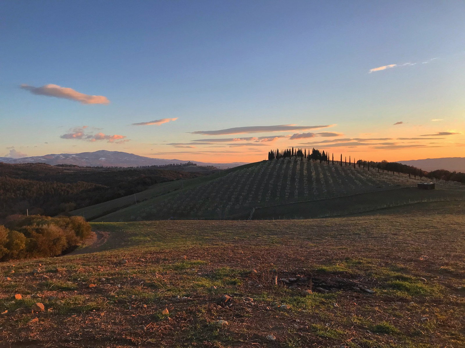 Cupano, Montalcino, Italy
