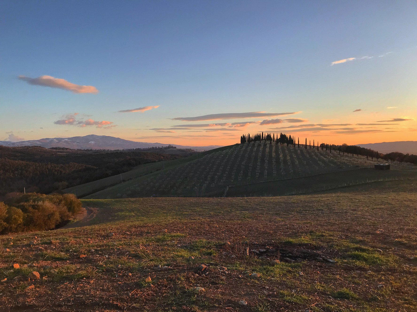 Cupano, Montalcino, Italy
