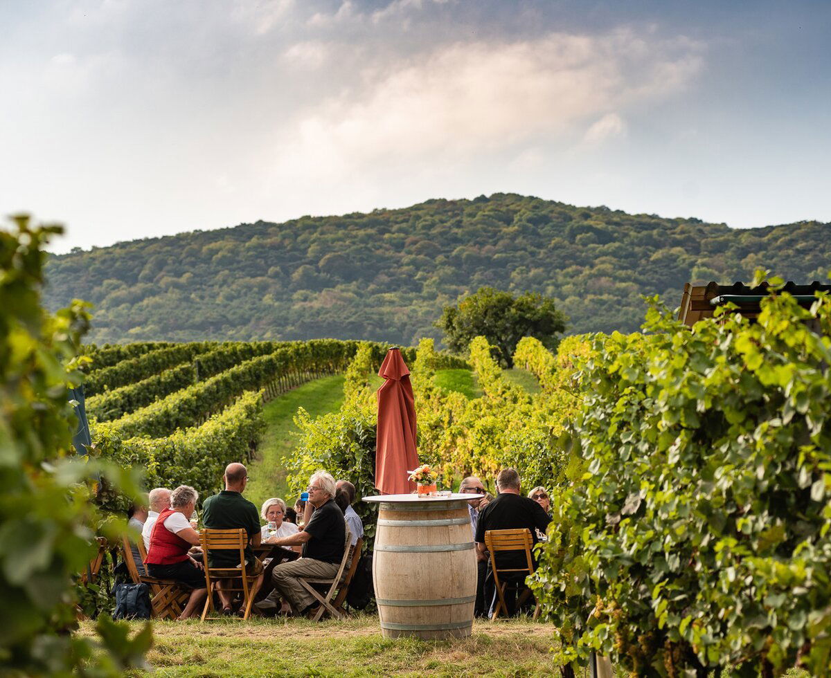 Bio Weingut Zahel, Winery in Vienna