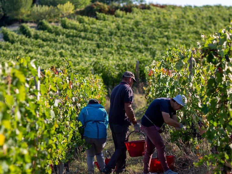Cascina Giovinale, Nizza Monferrato, Italy