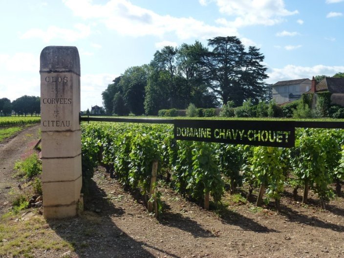 Domaine Chavy-Chouet