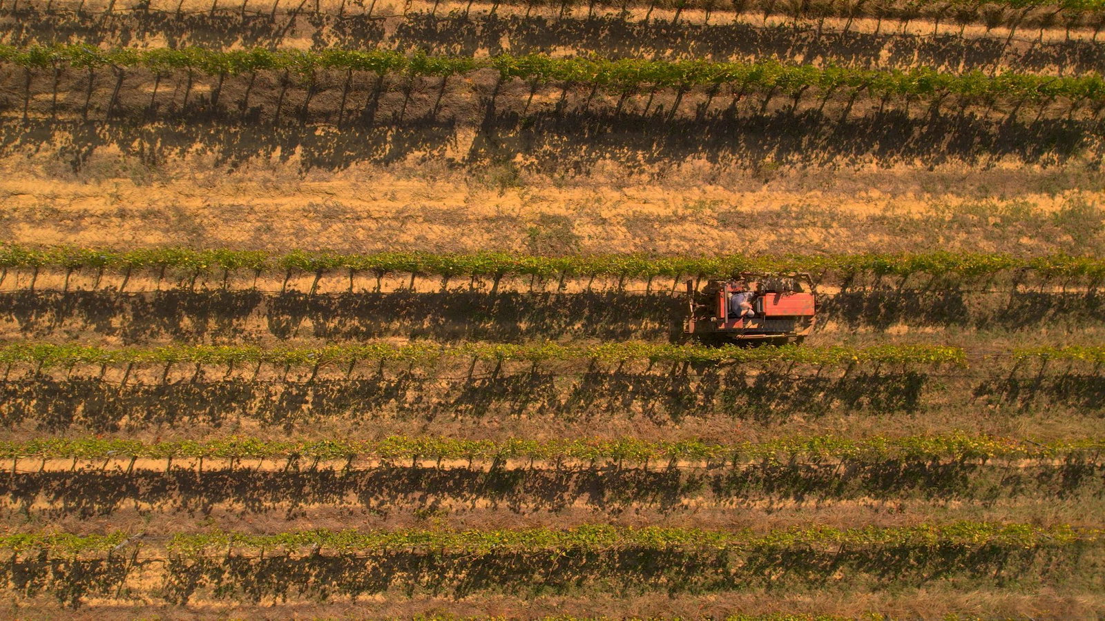 Campo del Monte, Terranuova Bracciolini, Italy