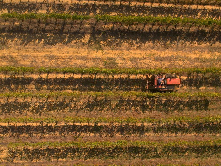 Campo del Monte, Terranuova Bracciolini, Italy