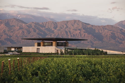 Bodegas y Viñedos Ortega, Fournier