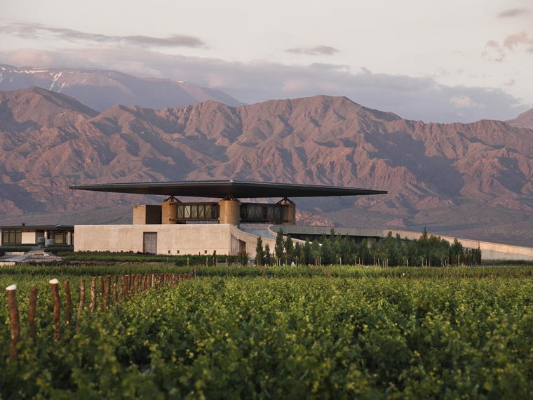 Bodegas y Viñedos Ortega, Fournier, Burgos, Spain