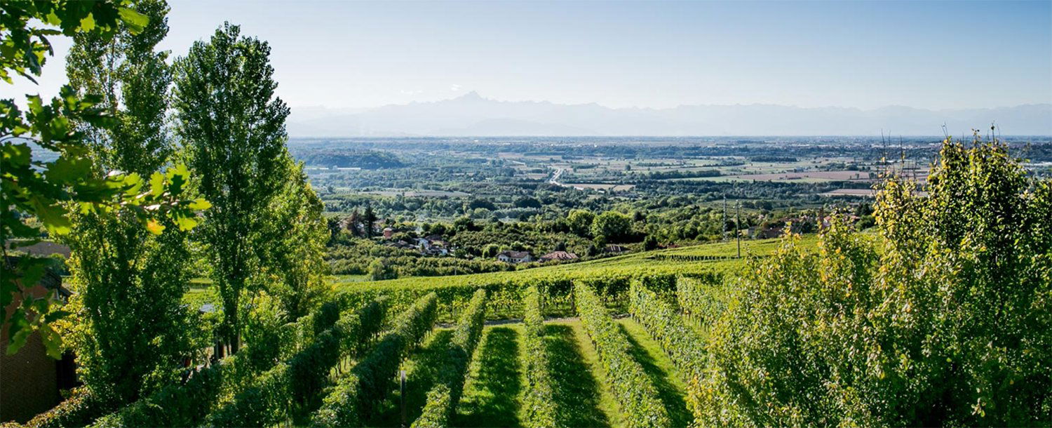 Bel Colle, Winery in Verduno