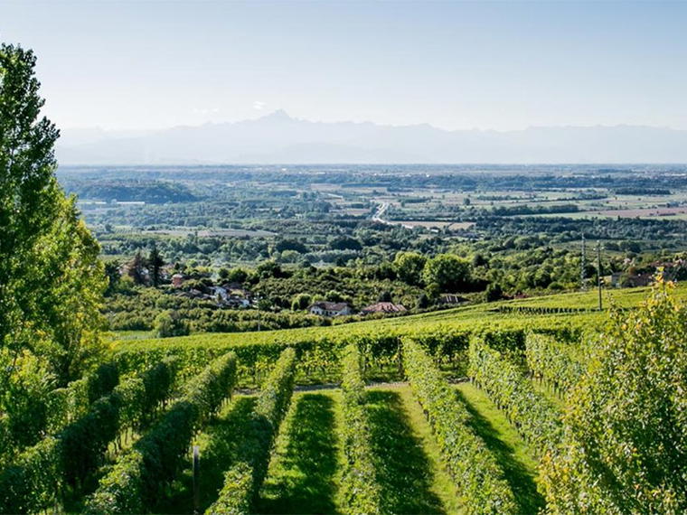 Bel Colle, Verduno, Italy