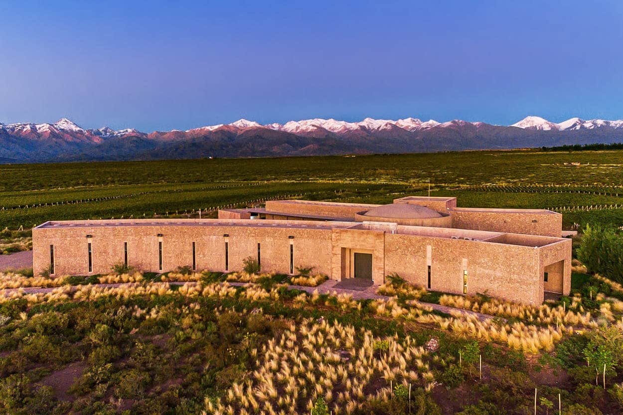 Bodegas Altocedro, Winery in La Consulta