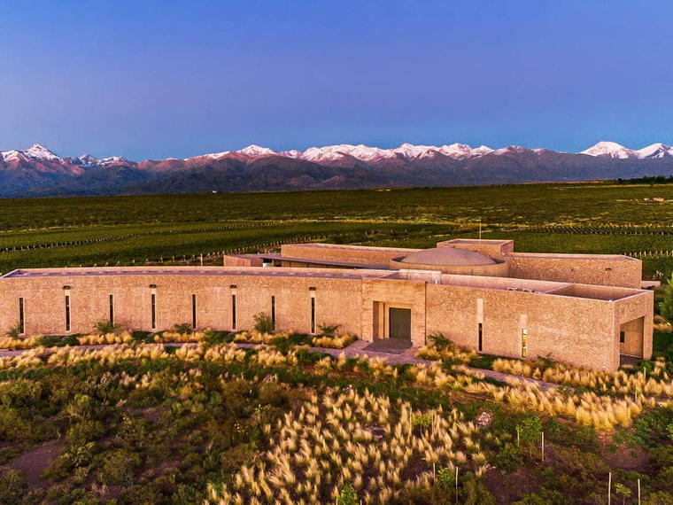 Bodegas Altocedro, La Consulta, Argentina