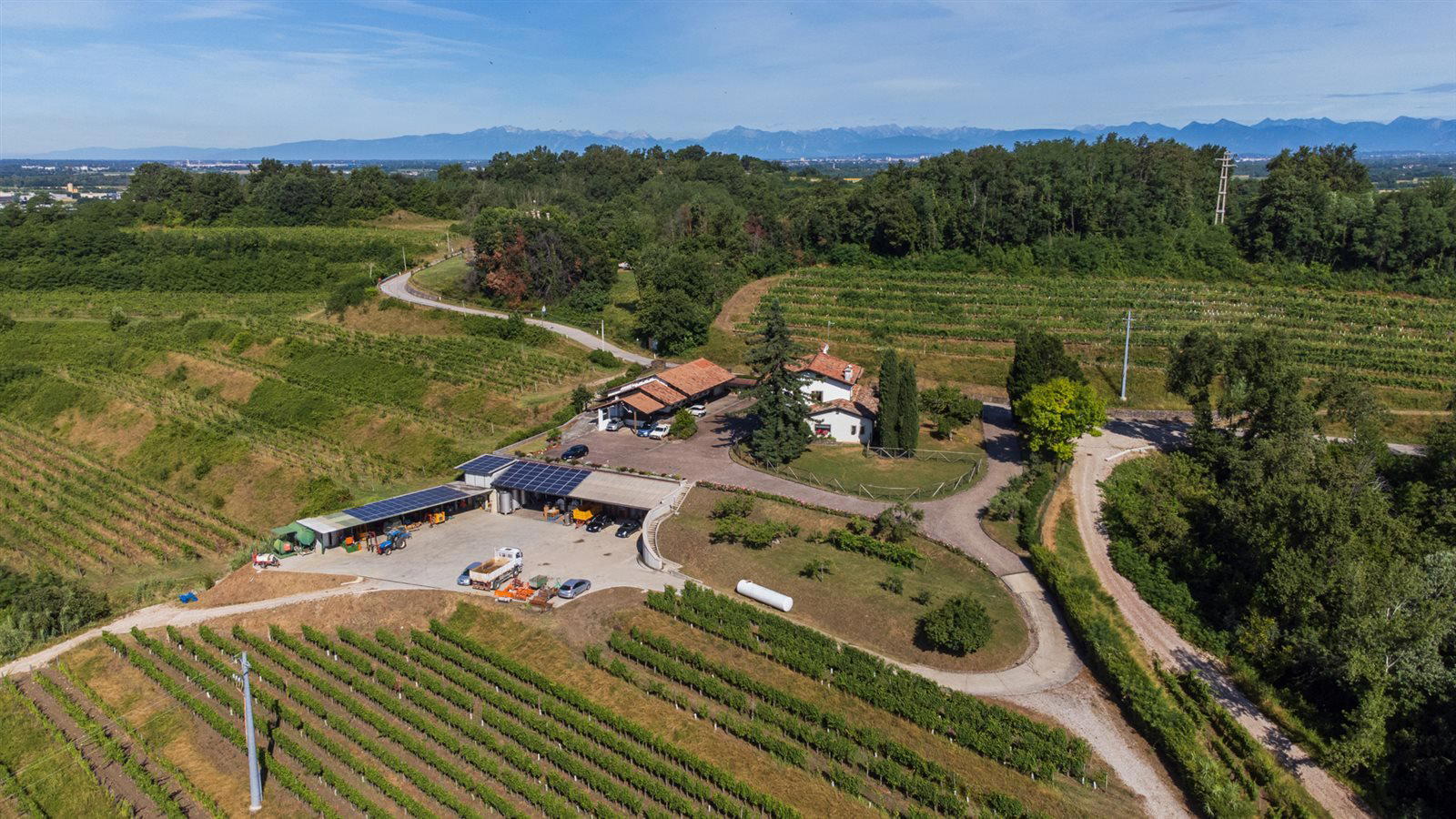 Petrucco winery in Buttrio