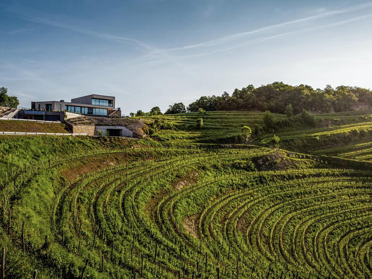 Guerila Wines, Ajdovscina, Slovenia