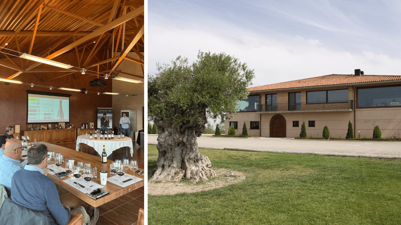 Bodegas Alto Moncayo