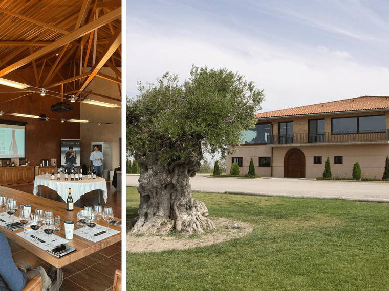 Bodegas Alto Moncayo, Borja, Spain