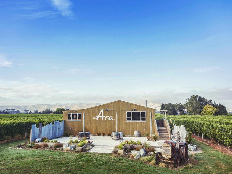 Ara Wines, Auckland, New Zealand