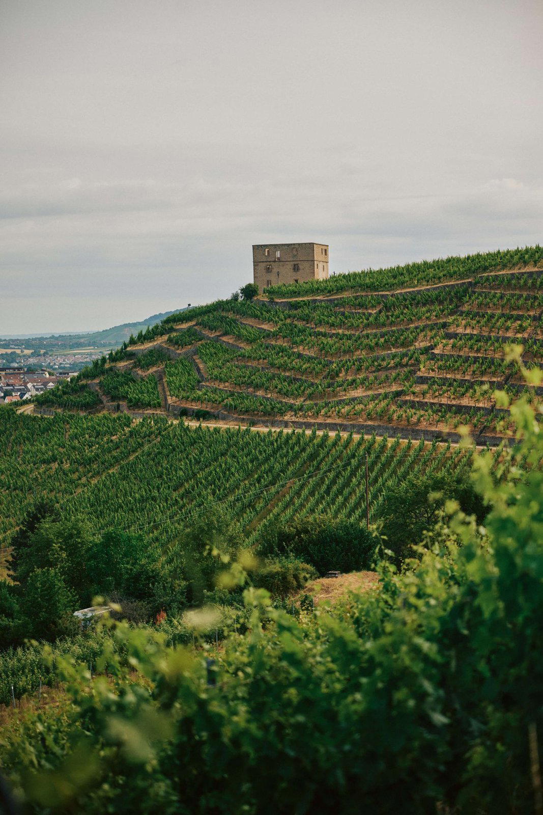 Weingut Karl Haidle, Kernen-Stetten, Germany