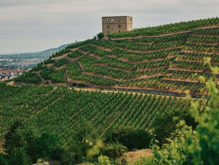 Weingut Karl Haidle, Kernen-Stetten, Germany