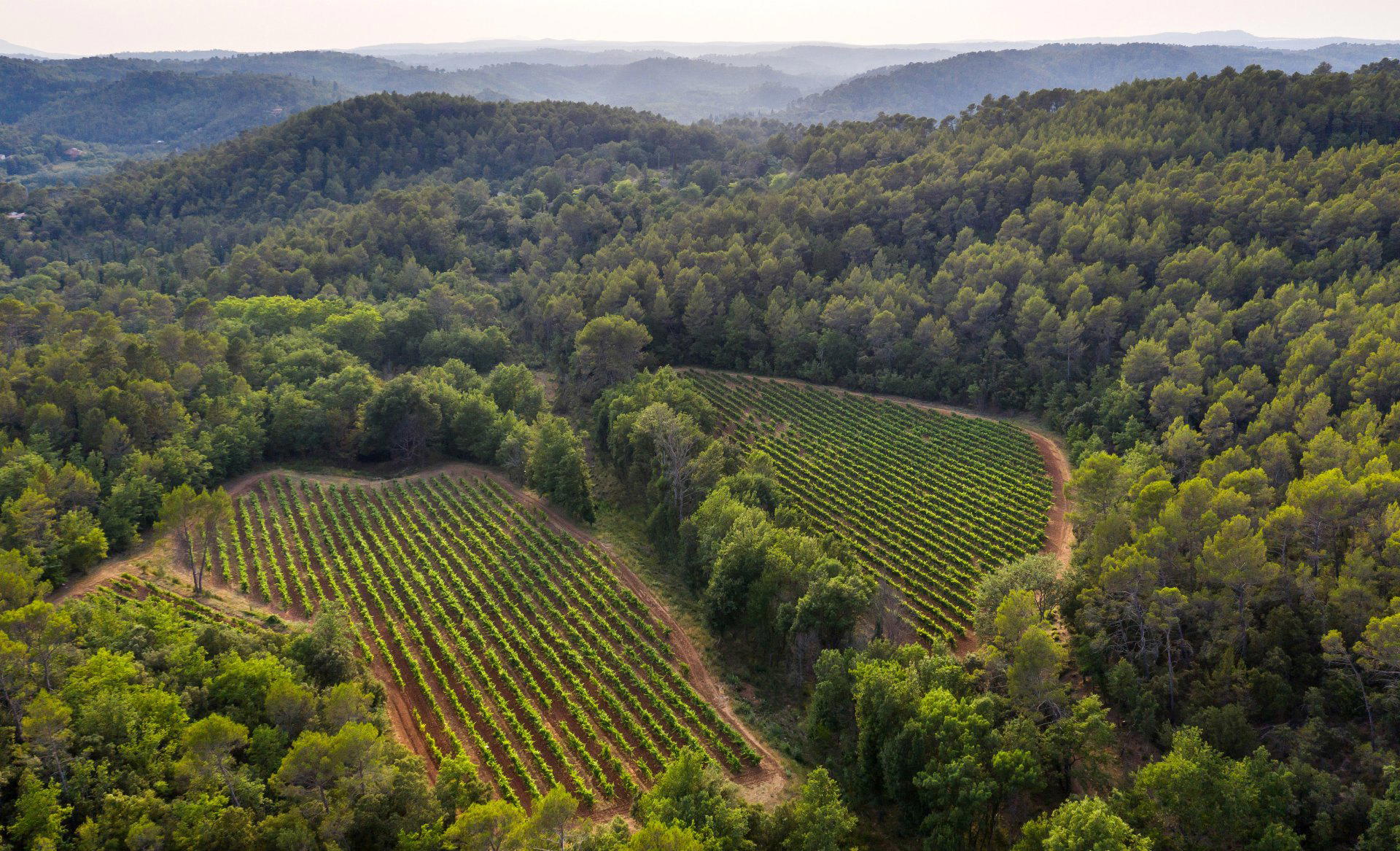 Château Margüi winery in Châteauvert