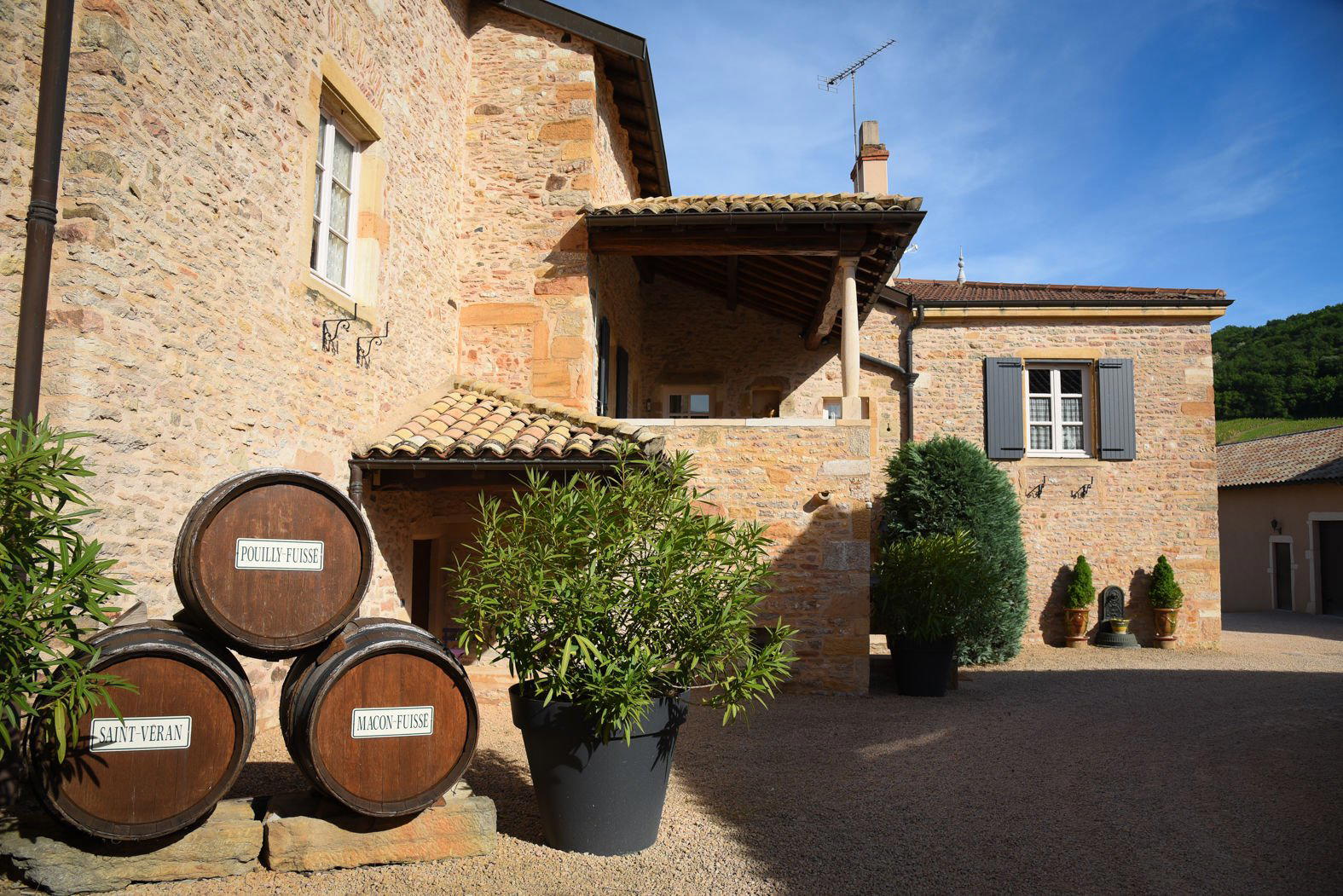 Château Vitallis winery in Fuissé