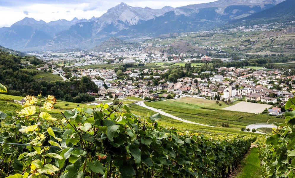Chai du Baron, Bramois, Switzerland