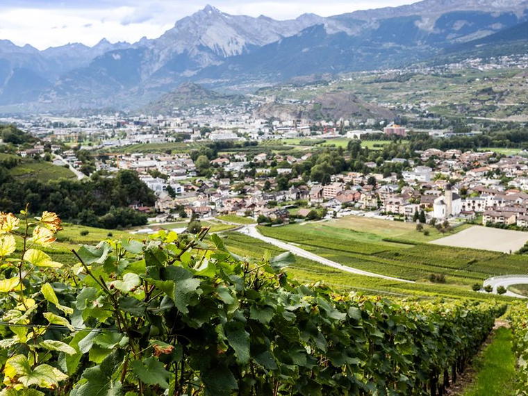 Chai du Baron, Bramois, Switzerland
