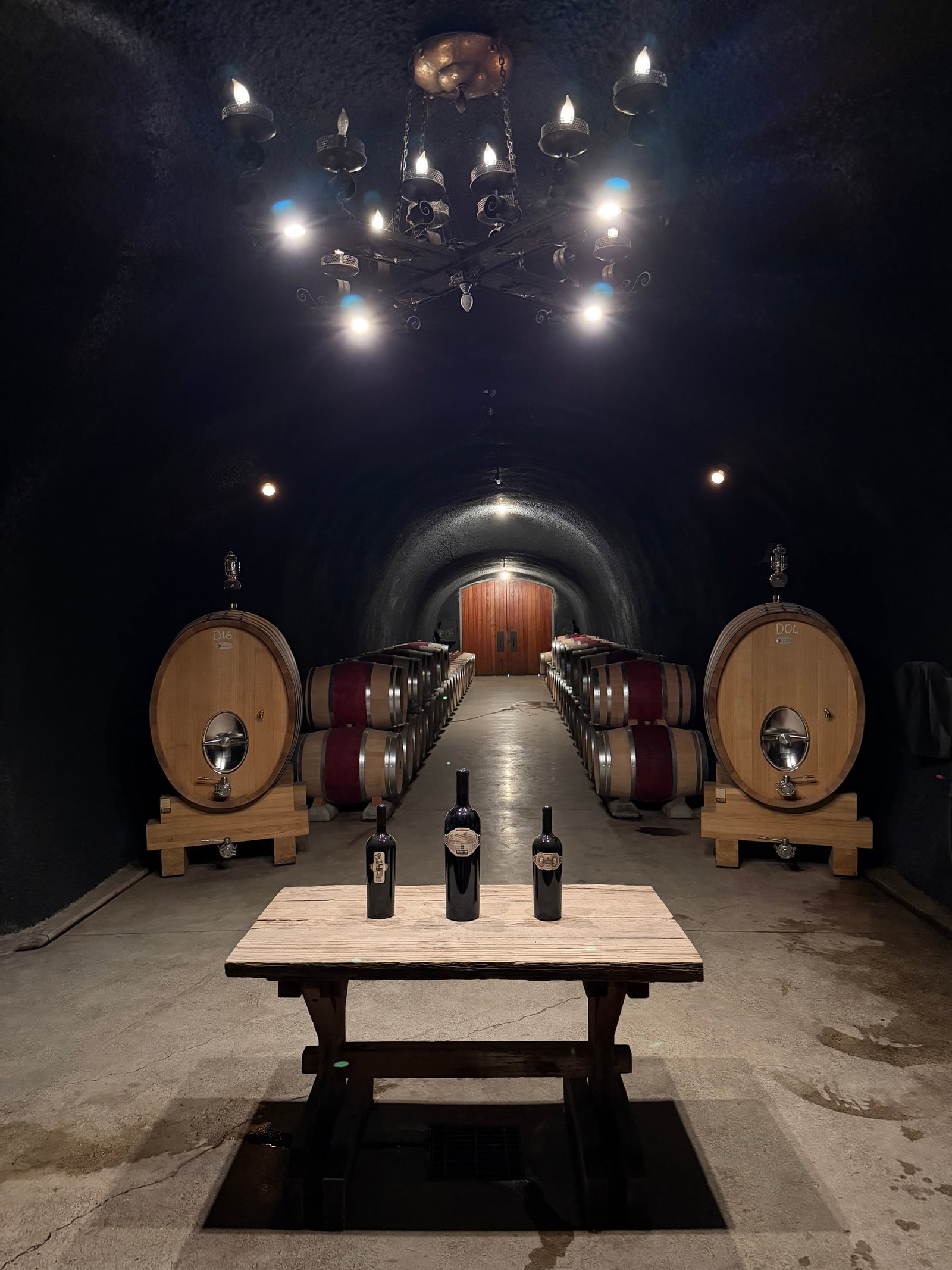 Cathiard Vineyard horseshoe cellar with wines staged for tasting