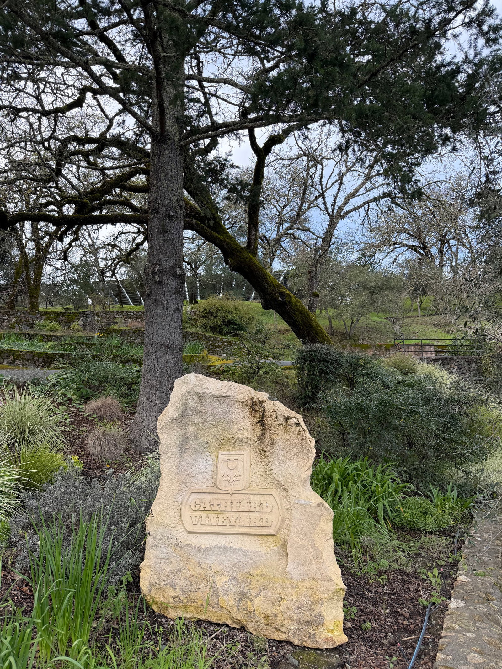Carved Cathiard Vineyard stone marker in the estate gardens