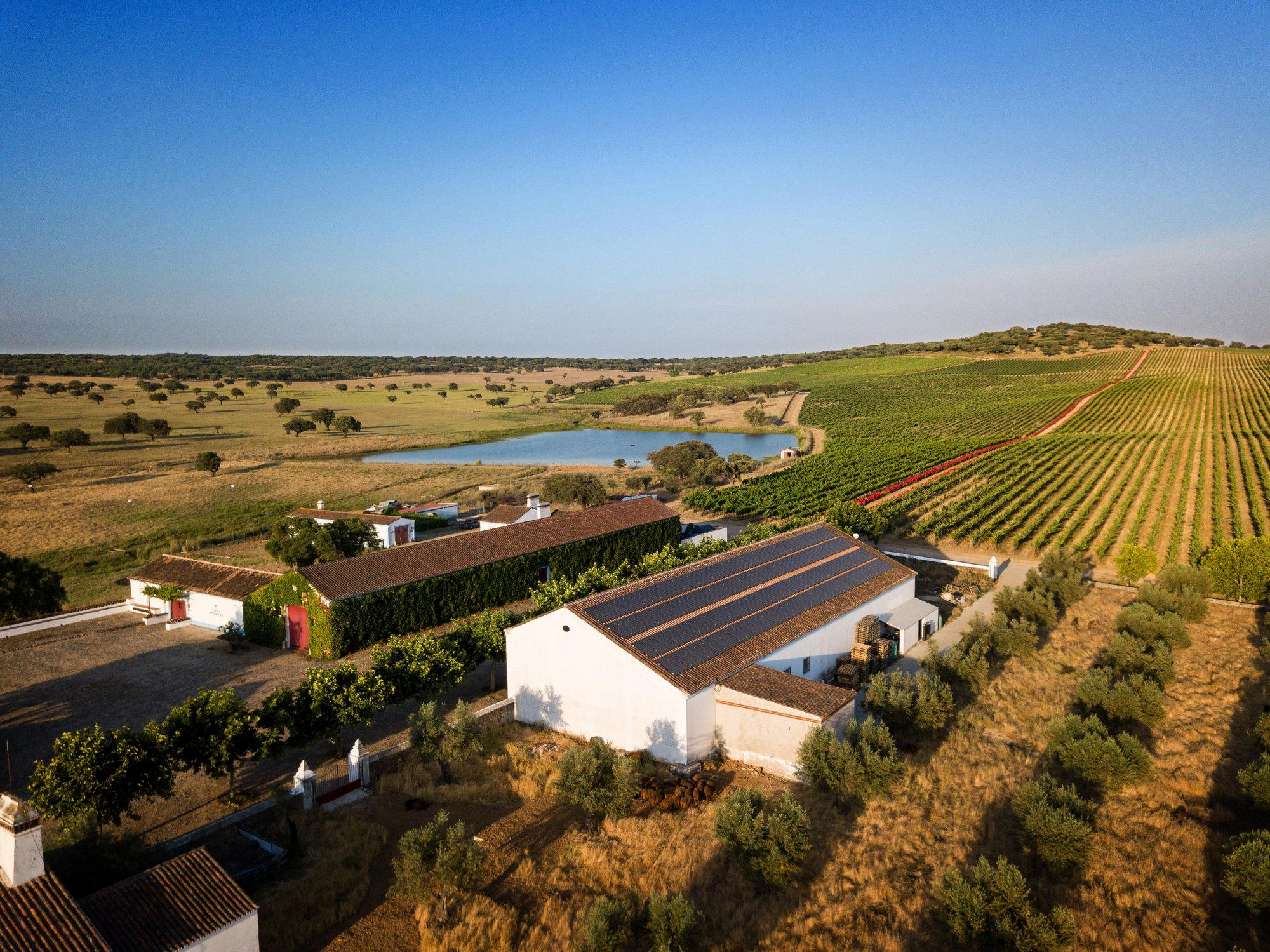 Reynolds Wine Growers winery in Arronches