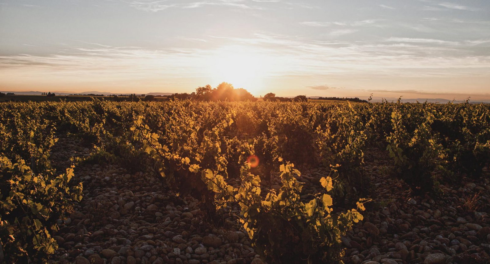 Domaine La Boutinière, Châteauneuf-du-Pape, France
