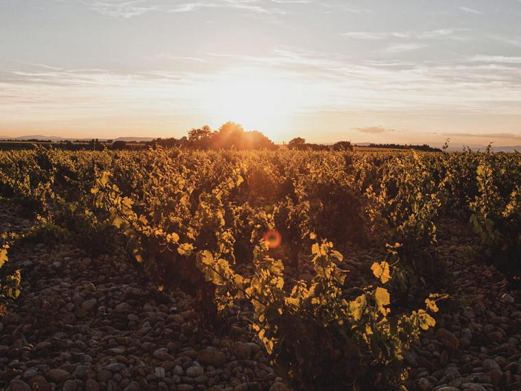 Domaine La Boutinière, Châteauneuf-du-Pape, France