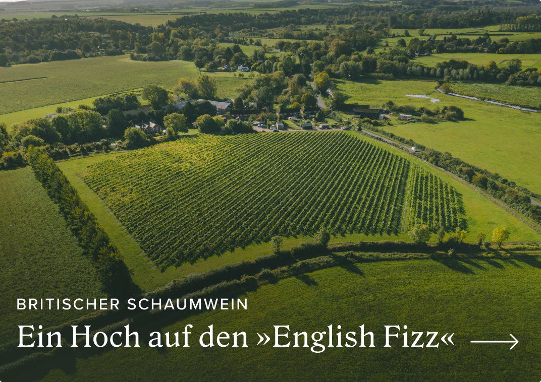 Bioweingut Christian & Thomas Weiss, Winery in Gols