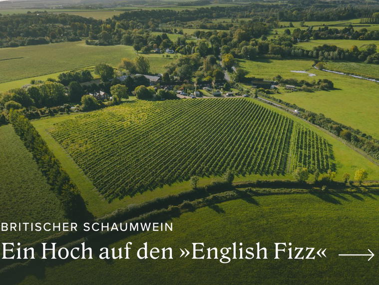 Bioweingut Christian & Thomas Weiss, Gols, Austria