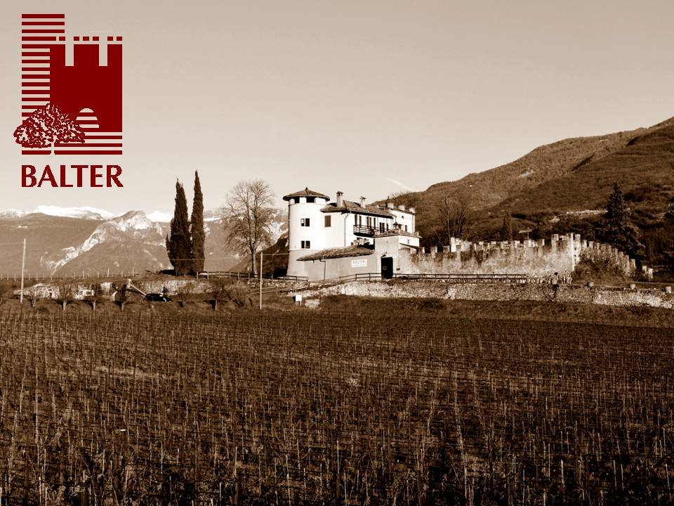 Balter, Winery in Rovereto