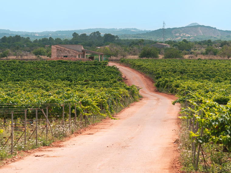 Galmés i Ribot, Santa Margalida, Spain