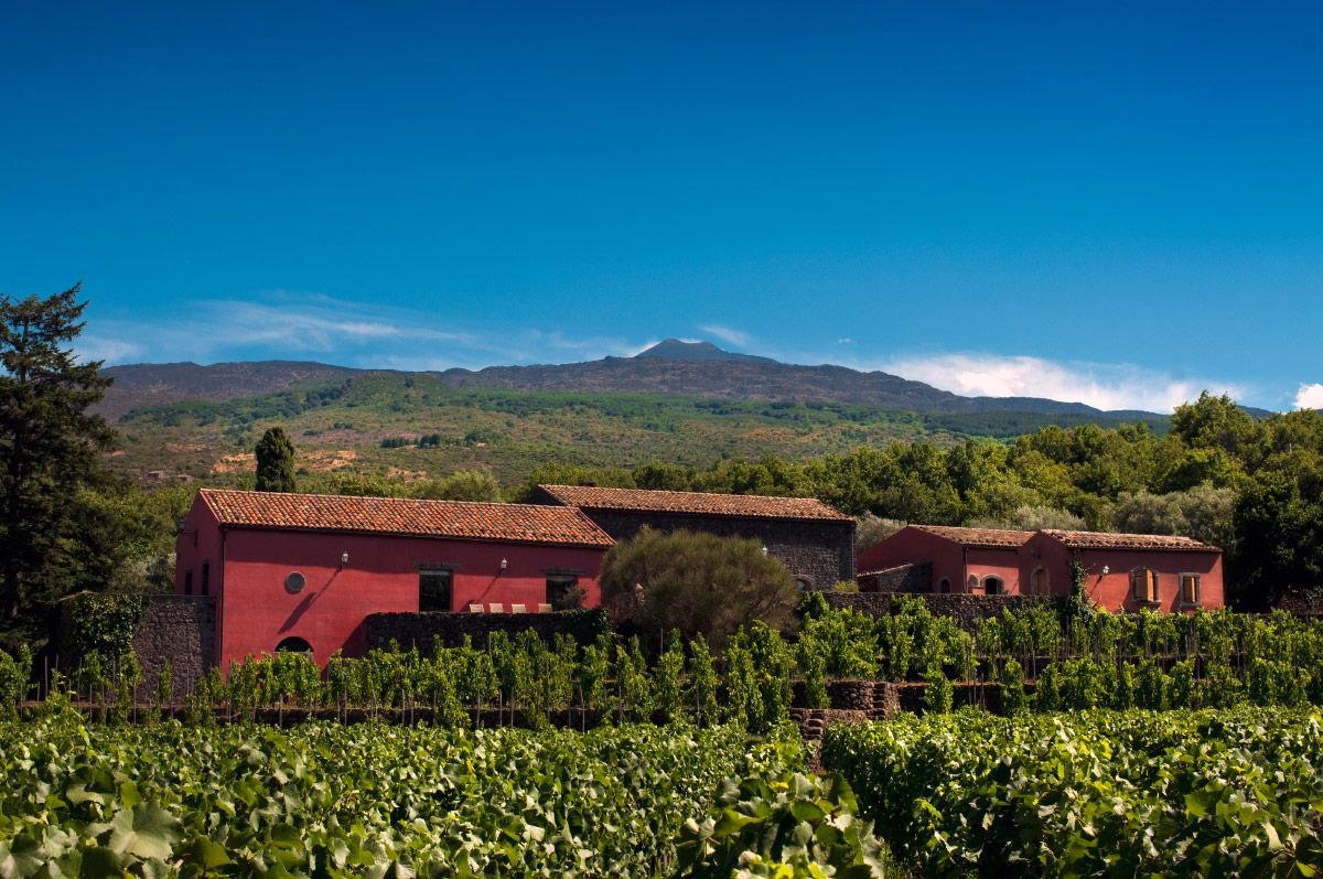 Terrazze dell’Etna winery in Randazzo